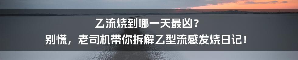 乙流烧到哪一天最凶？ 别慌，老司机带你拆解乙型流感发烧日记！