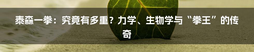 泰森一拳:究竟有多重?力学、生物学与“拳王”的传奇