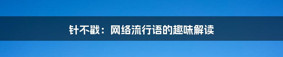 针不戳:网络流行语的趣味解读