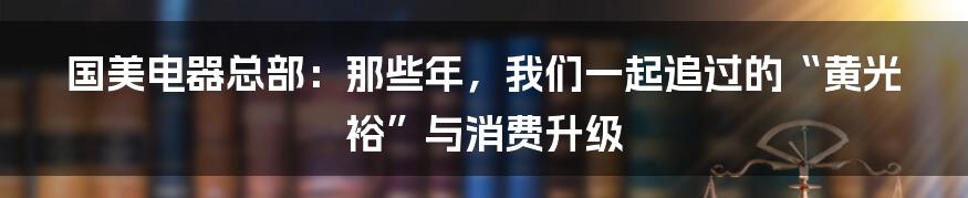国美电器总部：那些年，我们一起追过的“黄光裕”与消费升级