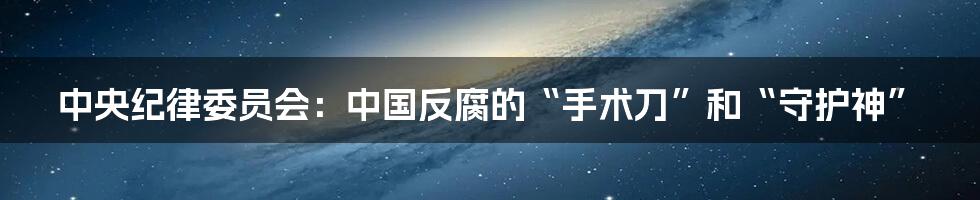 中央纪律委员会：中国反腐的“手术刀”和“守护神”