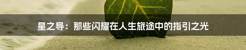 星之导:那些闪耀在人生旅途中的指引之光