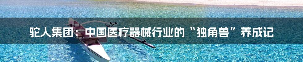 驼人集团:中国医疗器械行业的“独角兽”养成记