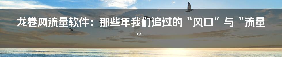 龙卷风流量软件：那些年我们追过的“风口”与“流量”