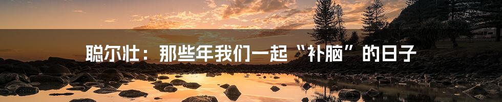 聪尔壮：那些年我们一起“补脑”的日子