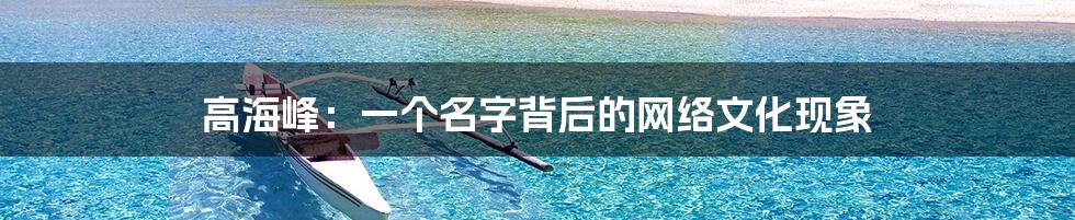高海峰:一个名字背后的网络文化现象