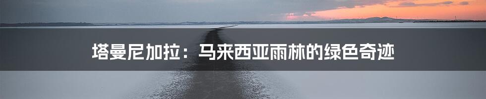 塔曼尼加拉:马来西亚雨林的绿色奇迹