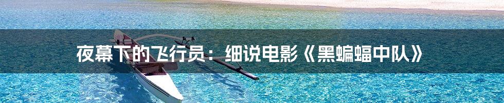 夜幕下的飞行员:细说电影《黑蝙蝠中队》