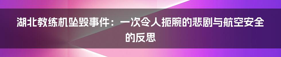 湖北教练机坠毁事件：一次令人扼腕的悲剧与航空安全的反思