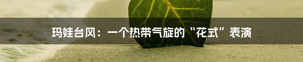 玛娃台风:一个热带气旋的“花式”表演