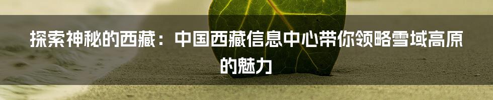 探索神秘的西藏:中国西藏信息中心带你领略雪域高原的魅力