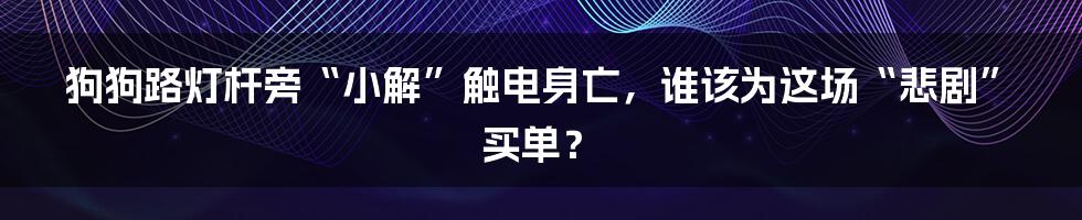 狗狗路灯杆旁“小解”触电身亡，谁该为这场“悲剧”买单？