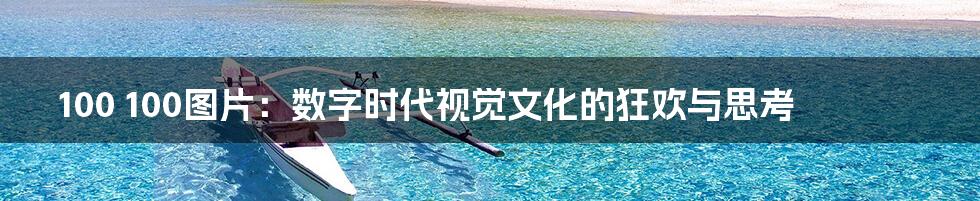 100 100图片:数字时代视觉文化的狂欢与思考