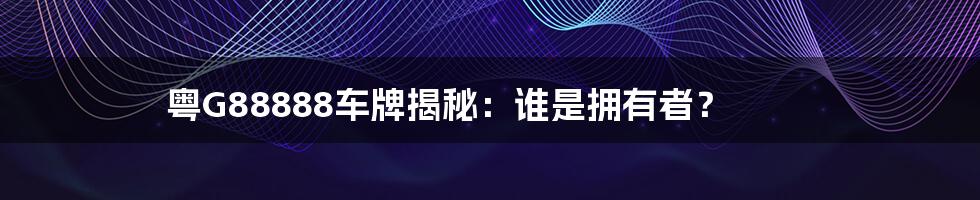 粤G88888车牌揭秘:谁是拥有者?