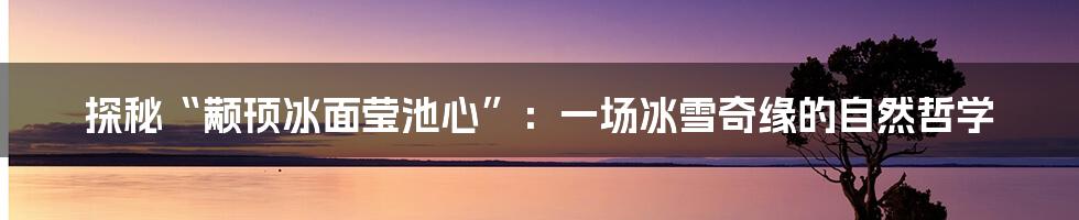 探秘“颟顸冰面莹池心”：一场冰雪奇缘的自然哲学
