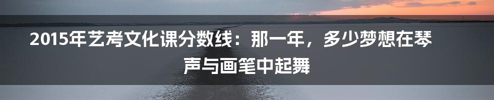 2015年艺考文化课分数线：那一年，多少梦想在琴声与画笔中起舞
