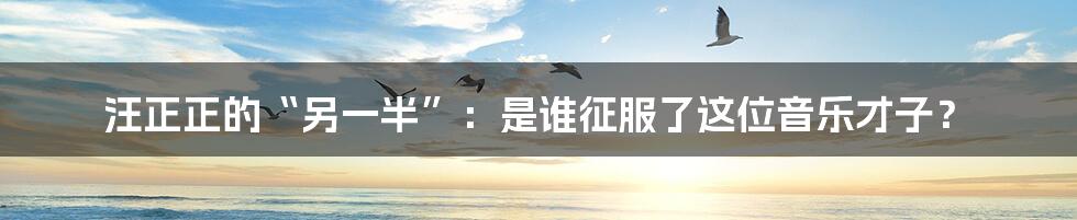 汪正正的“另一半”:是谁征服了这位音乐才子?