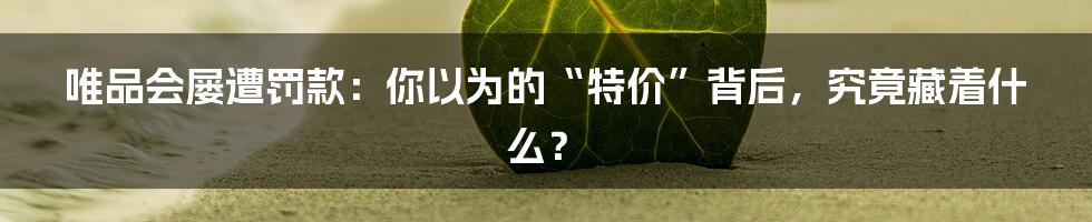 唯品会屡遭罚款:你以为的“特价”背后,究竟藏着什么?