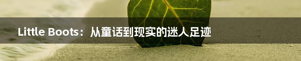 Little Boots：从童话到现实的迷人足迹