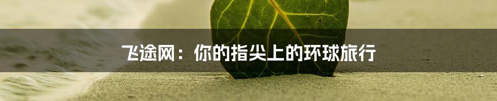 飞途网:你的指尖上的环球旅行