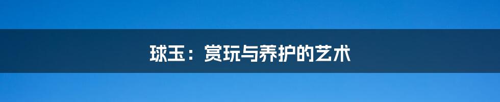 球玉：赏玩与养护的艺术