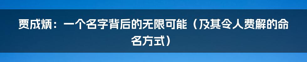贾成炳：一个名字背后的无限可能（及其令人费解的命名方式）