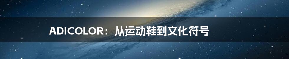 ADICOLOR：从运动鞋到文化符号