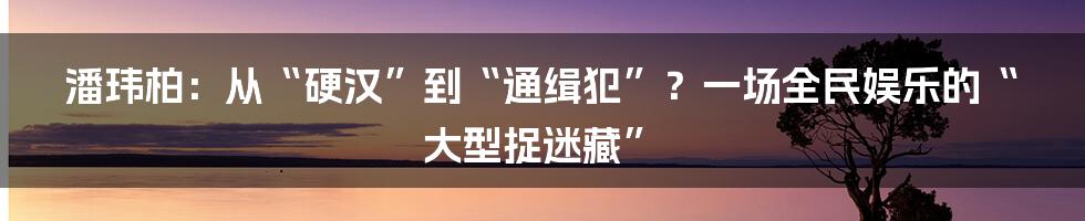 潘玮柏:从“硬汉”到“通缉犯”?一场全民娱乐的“大型捉迷藏”