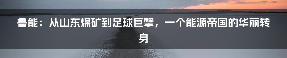 鲁能：从山东煤矿到足球巨擘，一个能源帝国的华丽转身