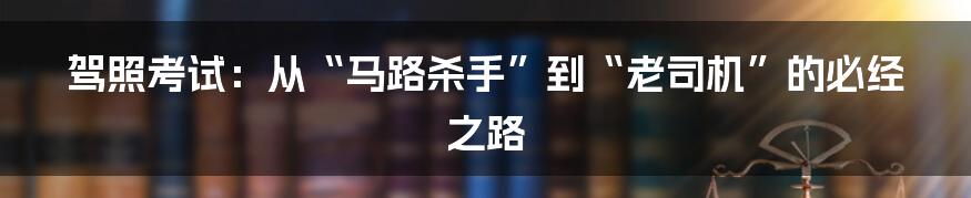 驾照考试：从“马路杀手”到“老司机”的必经之路