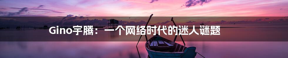 Gino宇腾：一个网络时代的迷人谜题