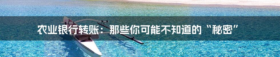 农业银行转账:那些你可能不知道的“秘密”