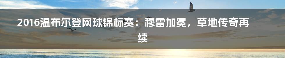 2016温布尔登网球锦标赛：穆雷加冕，草地传奇再续
