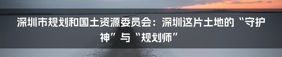 深圳市规划和国土资源委员会:深圳这片土地的“守护神”与“规划师”