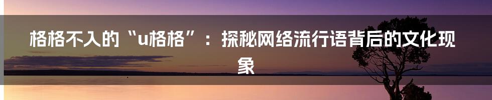 格格不入的“u格格”：探秘网络流行语背后的文化现象