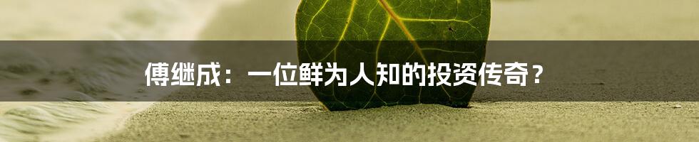 傅继成：一位鲜为人知的投资传奇？
