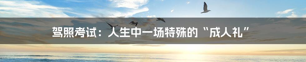 驾照考试:人生中一场特殊的“成人礼”