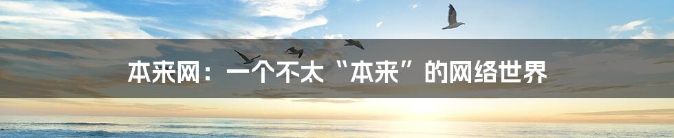 本来网：一个不太“本来”的网络世界