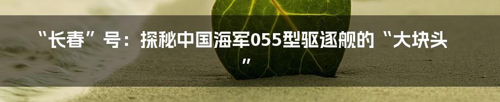 “长春”号:探秘中国海军055型驱逐舰的“大块头”
