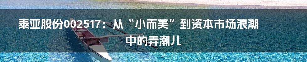 泰亚股份002517：从“小而美”到资本市场浪潮中的弄潮儿
