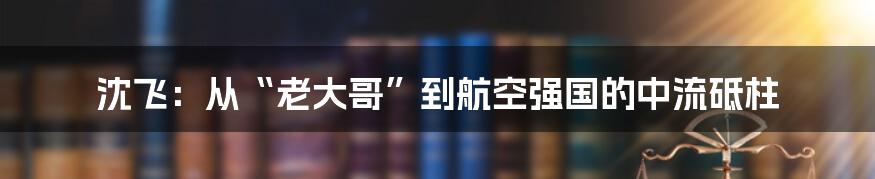 沈飞：从“老大哥”到航空强国的中流砥柱
