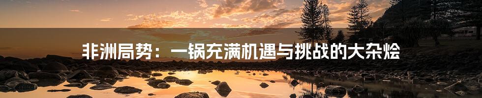 非洲局势：一锅充满机遇与挑战的大杂烩