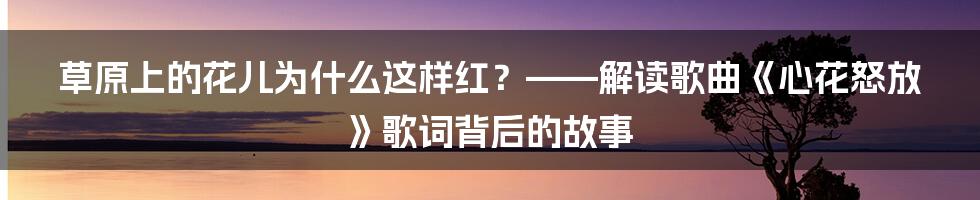 草原上的花儿为什么这样红？——解读歌曲《心花怒放》歌词背后的故事