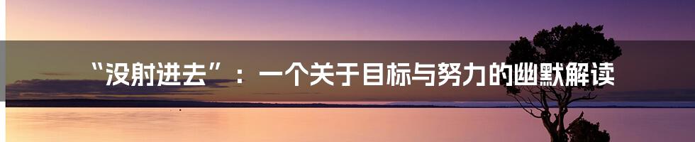“没射进去”：一个关于目标与努力的幽默解读