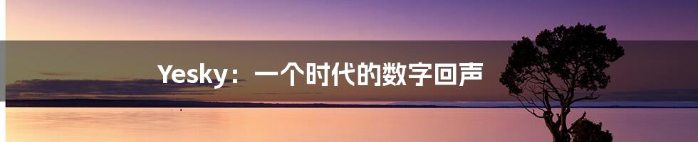 Yesky：一个时代的数字回声