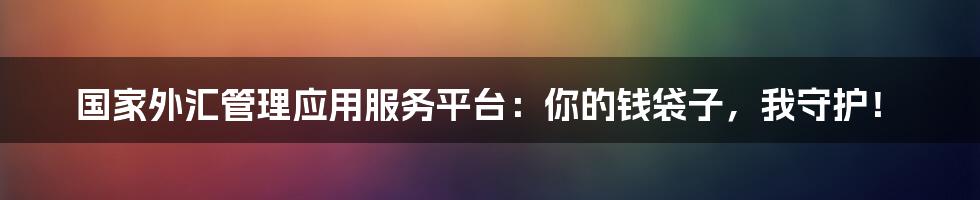 国家外汇管理应用服务平台：你的钱袋子，我守护！