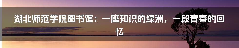 湖北师范学院图书馆：一座知识的绿洲，一段青春的回忆