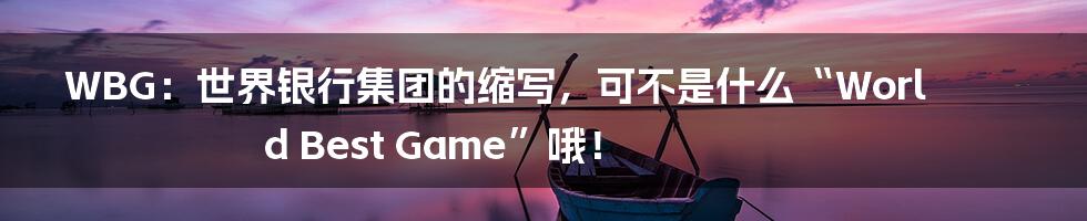WBG：世界银行集团的缩写，可不是什么“World Best Game”哦！