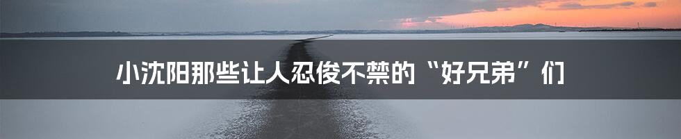 小沈阳那些让人忍俊不禁的“好兄弟”们