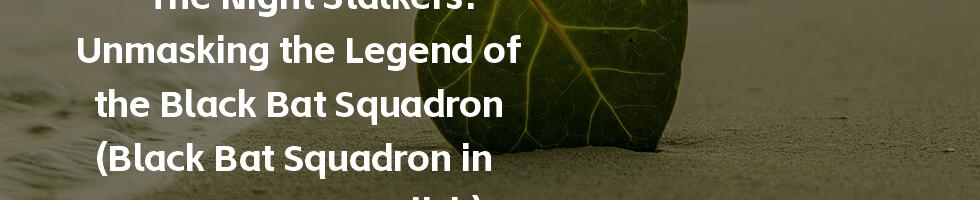 The Night Stalkers: Unmasking the Legend of the Black Bat Squadron (Black Bat Squadron in English)